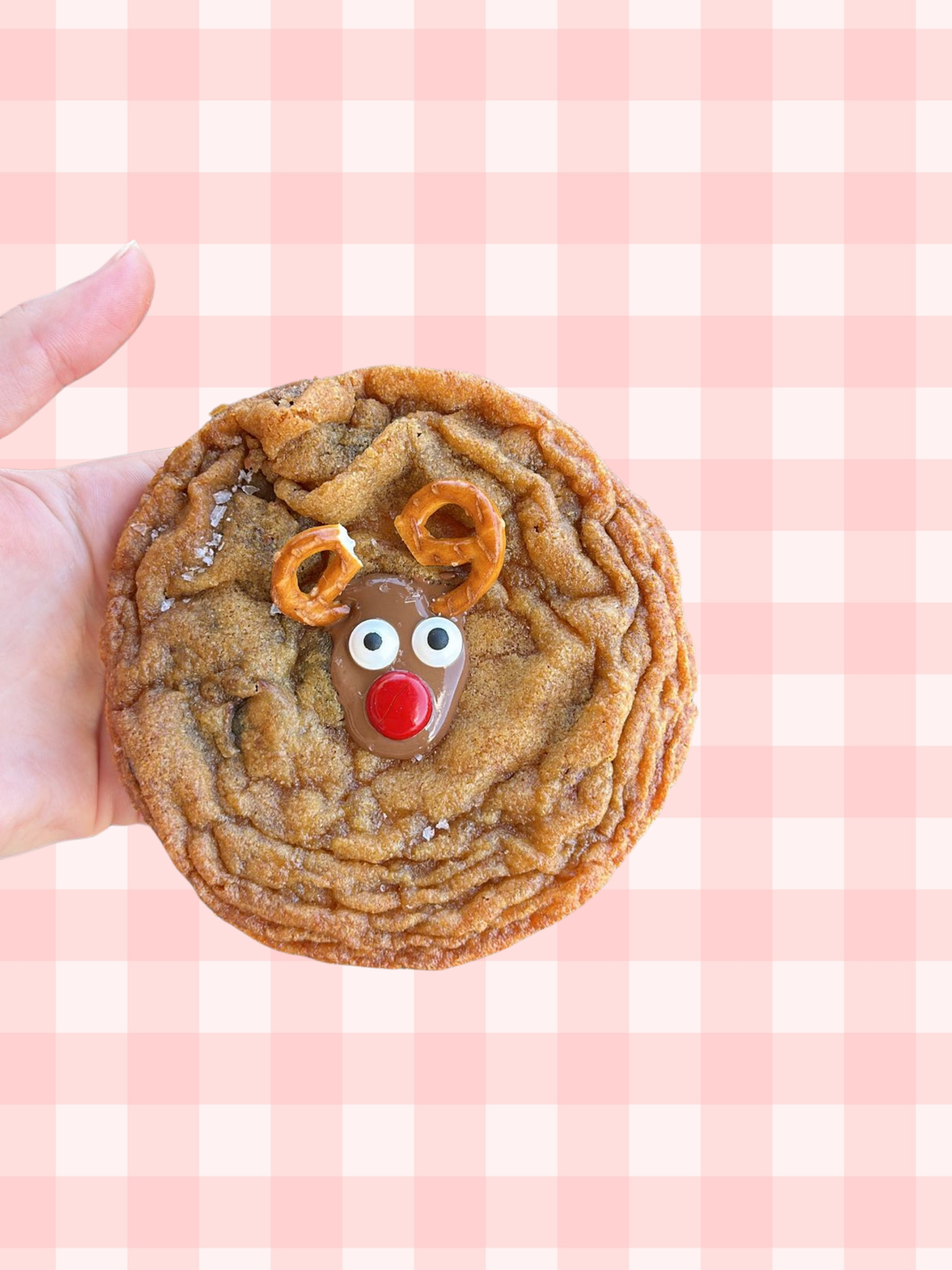 Christmas Special Rudolph Cookie
