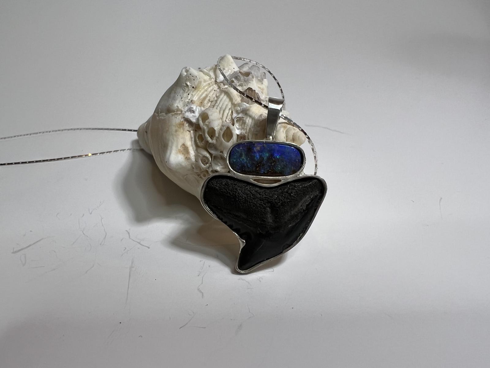 Fossilized Tiger Shark Tooth Necklace