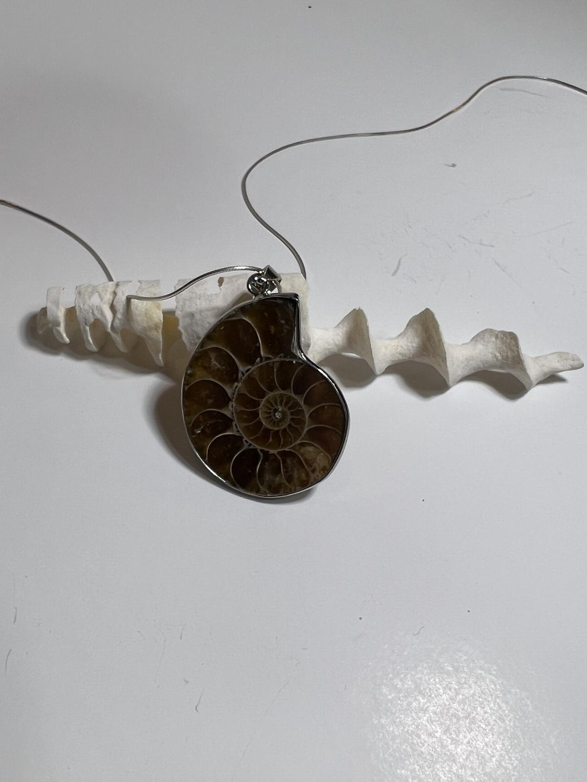 Fossilized Ammonite Necklace