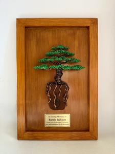 Trees of Life