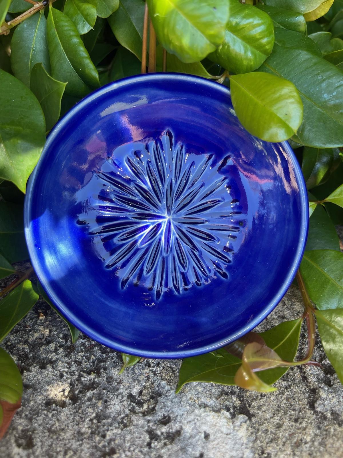 Garlic Grater - Blue