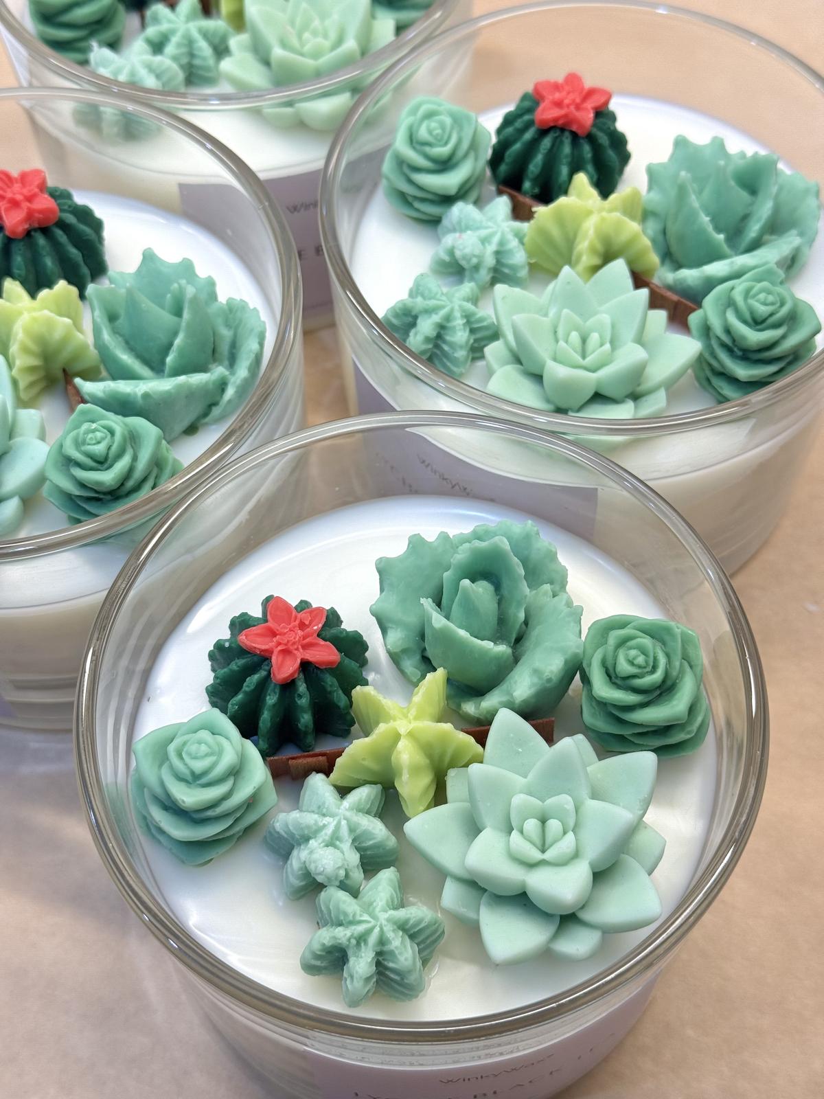 Succulent candles