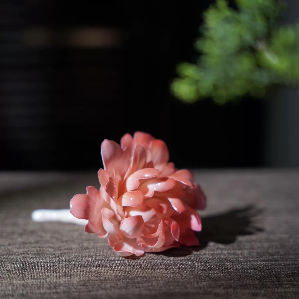 Botanical Ceramics
